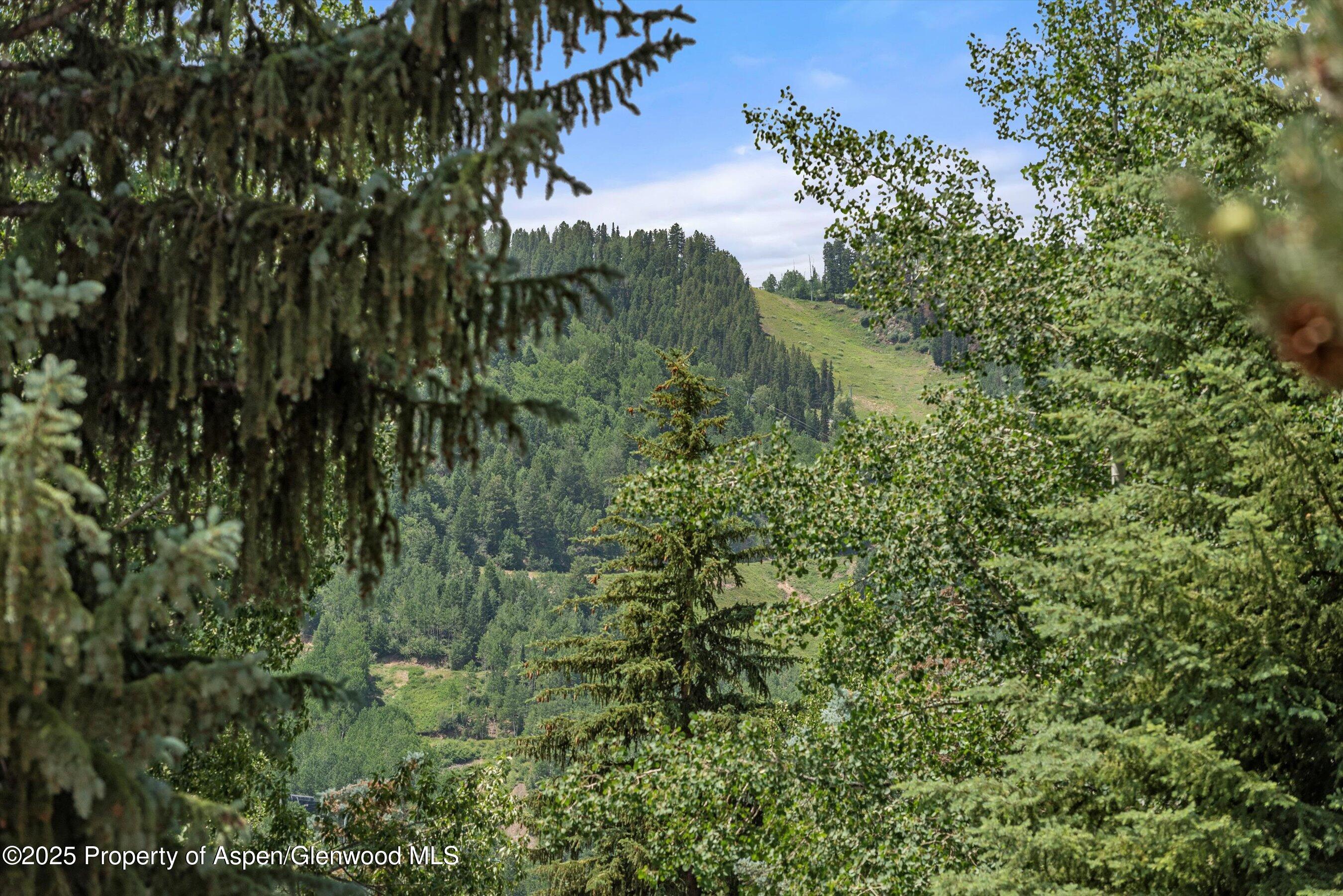 1024 East Hopkins Avenue, Unit 16 Aspen, CO 81611 - Photo 16 of 20 Aspen Mountain View