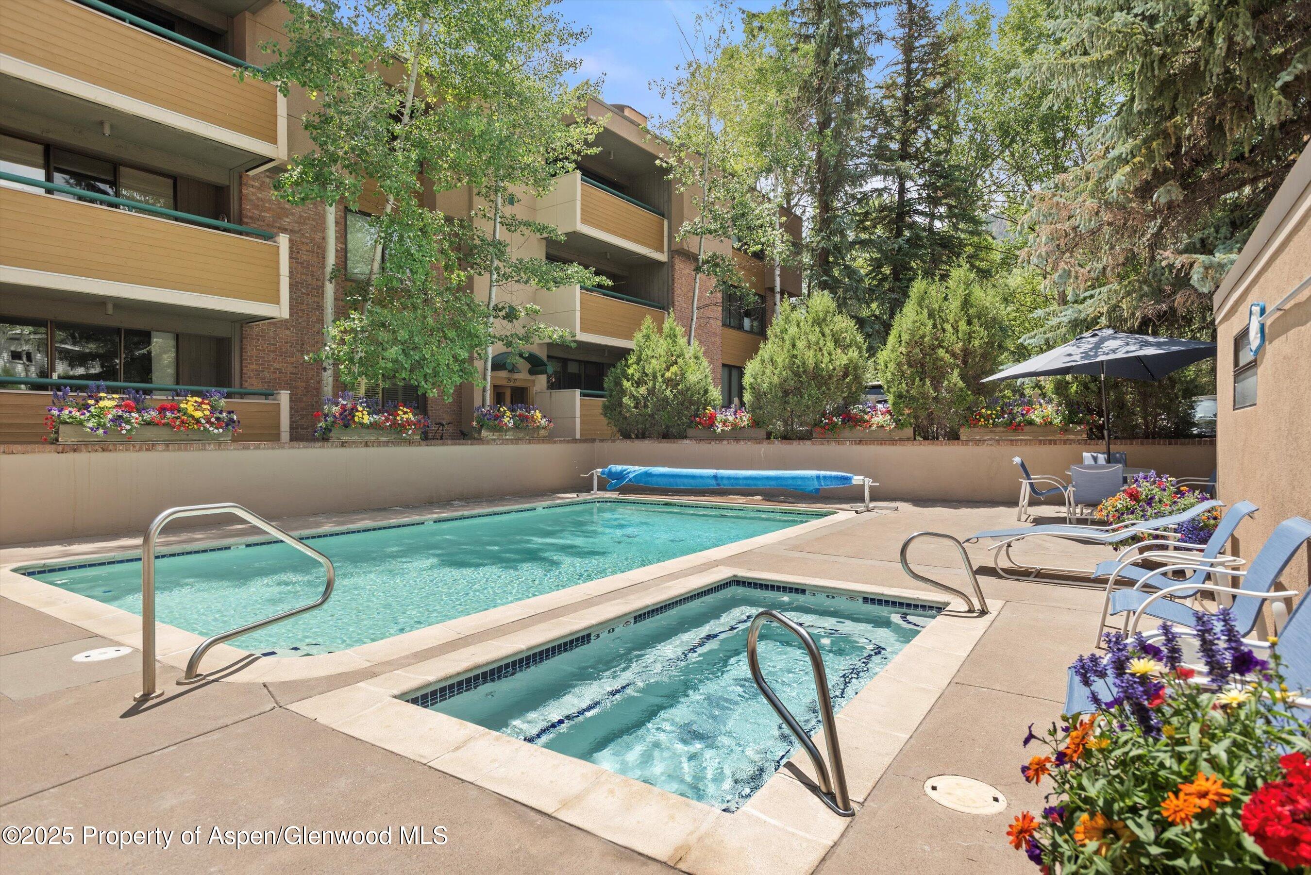 1024 East Hopkins Avenue, Unit 16 Aspen, CO 81611 - Photo 18 of 20 Pool and Hot Tub
