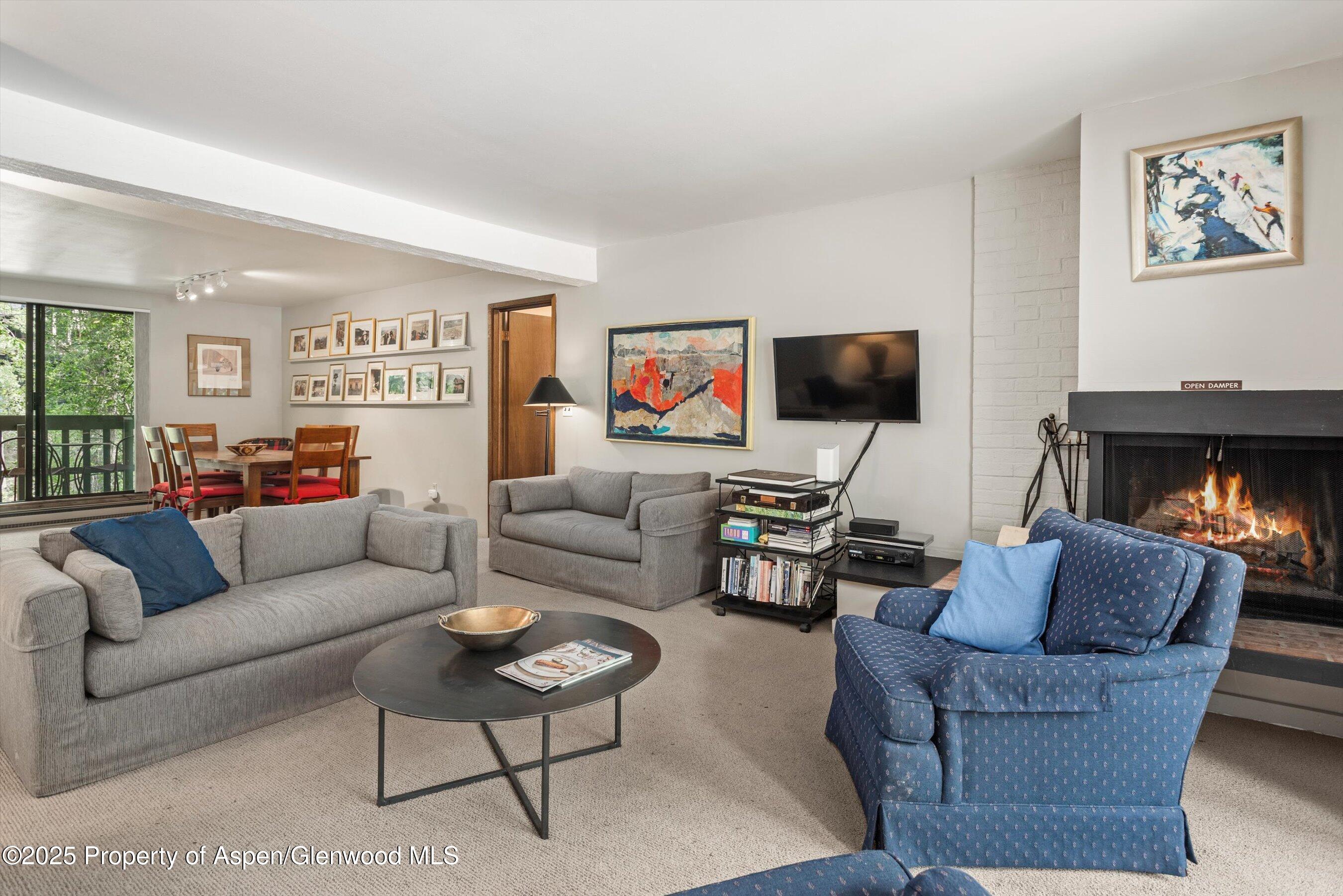 1024 East Hopkins Avenue, Unit 16 Aspen, CO 81611 - Photo 3 of 20 Large Living Room