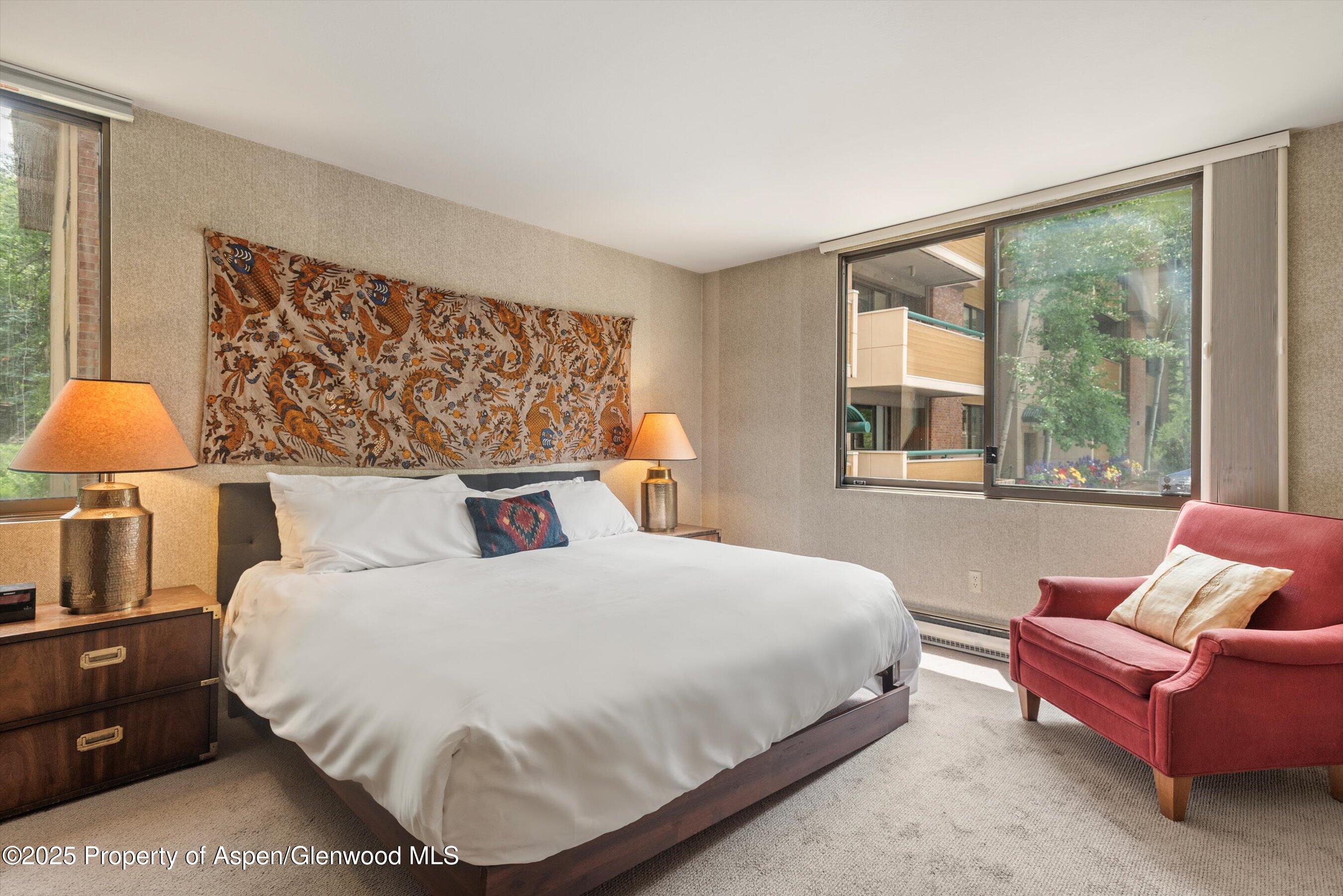 1024 East Hopkins Avenue, Unit 16 Aspen, CO 81611 - Photo 8 of 20 Primary Bedroom with Mountain Views