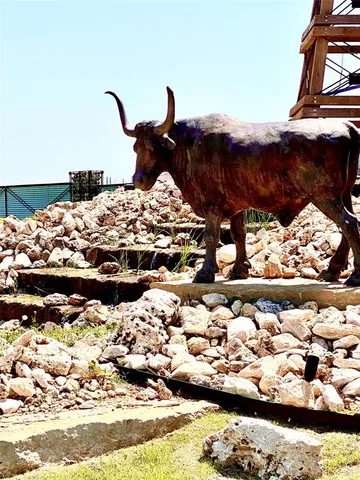 a view of a bird of the house