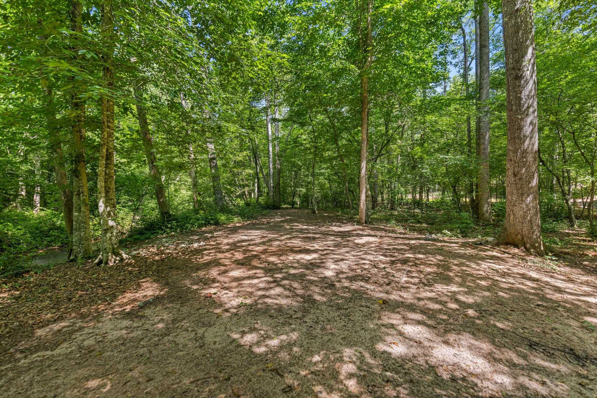 637 Odell Road Liberty, SC 29657 - Photo 13 of 19