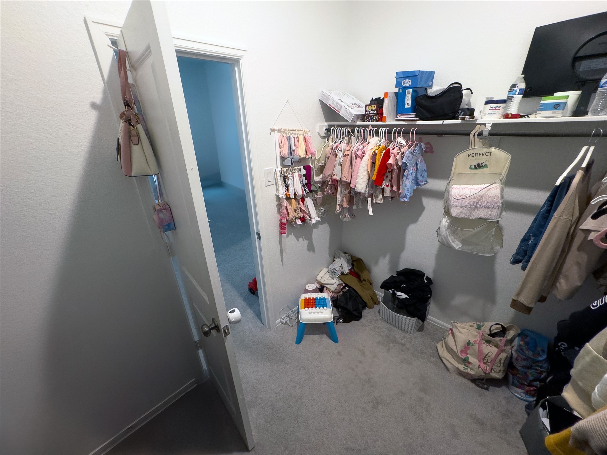 4602 Sterling Pr Trail Baytown, TX 77521 - Photo 28 of 30 Walk-in closet