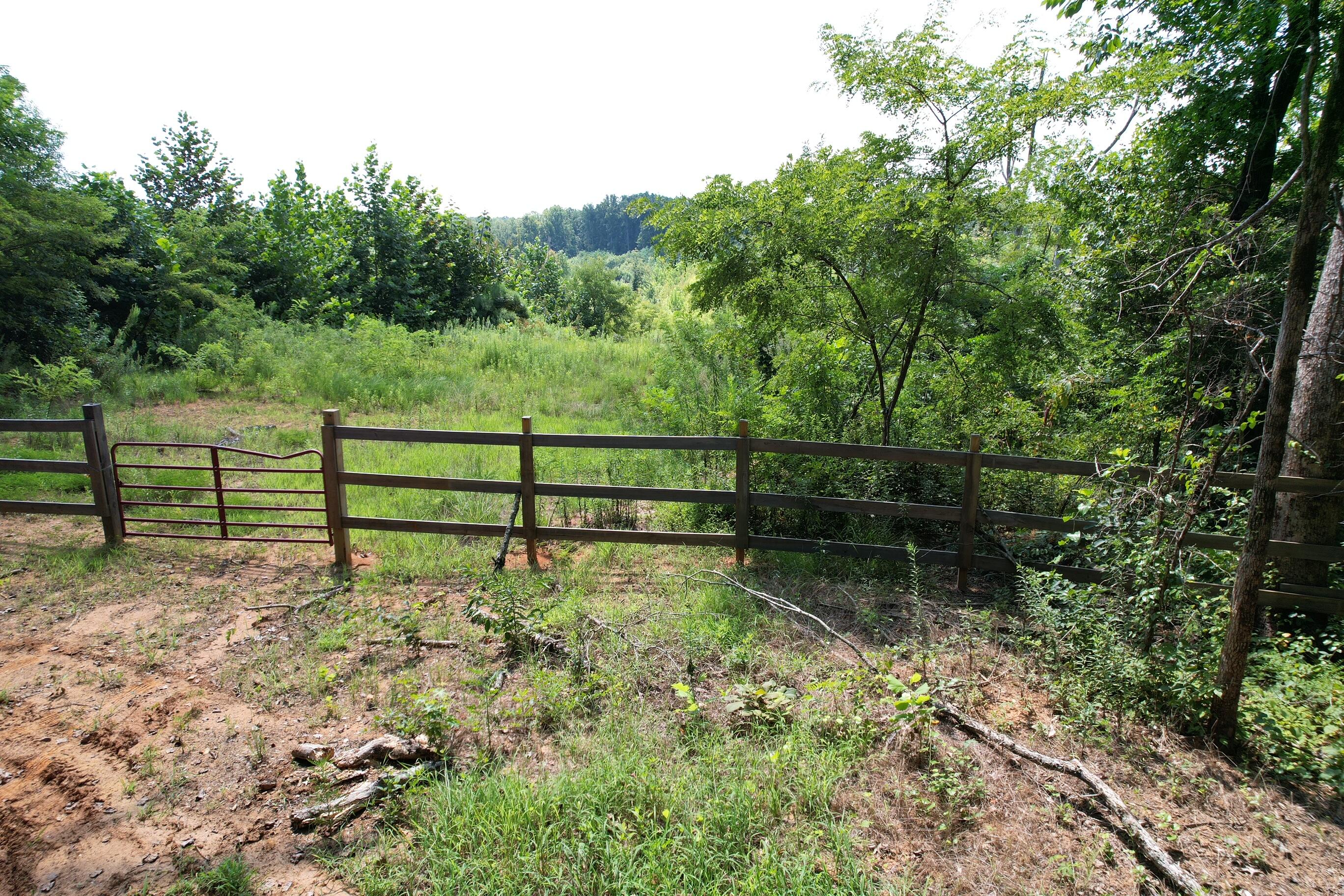 153 County Road New Albany, MS 38652 - Photo 9 of 17 Gallery Image 9