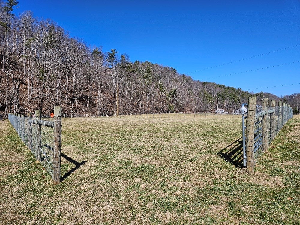 39440 Blevins Road Chilhowie, VA 24319 - Photo 17 of 41 Gallery Image 17