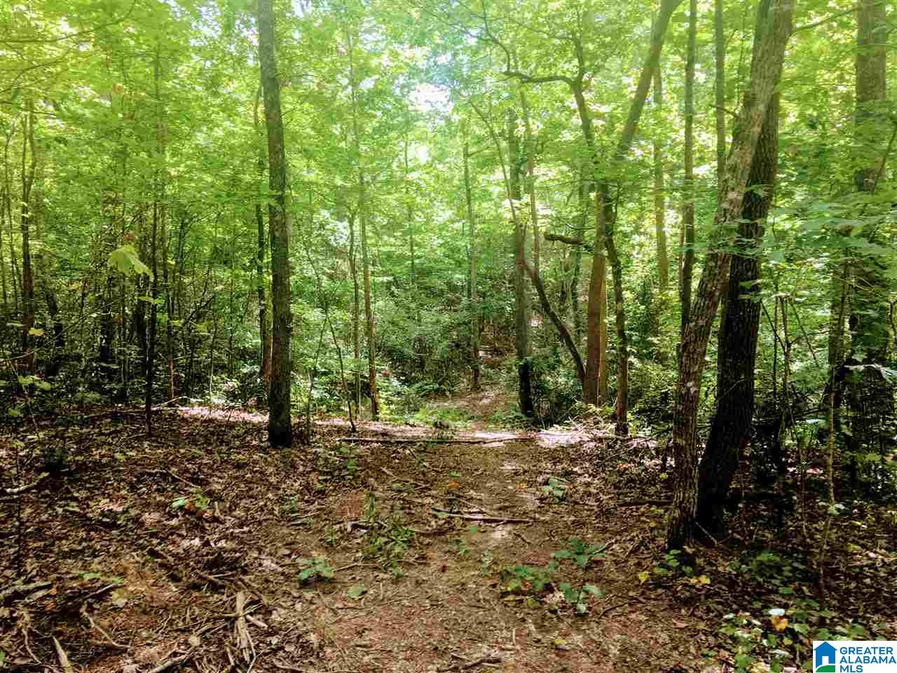 2565 Kentuck Road, Unit 4569 Oxford, AL 36203 - Photo 36 of 46