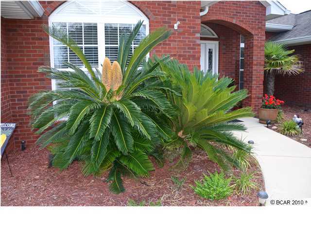 3507 Willow Ridge Road Lynn Haven, FL 32444 - Photo 24 of 25