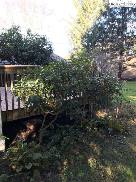 Gallery Image 7