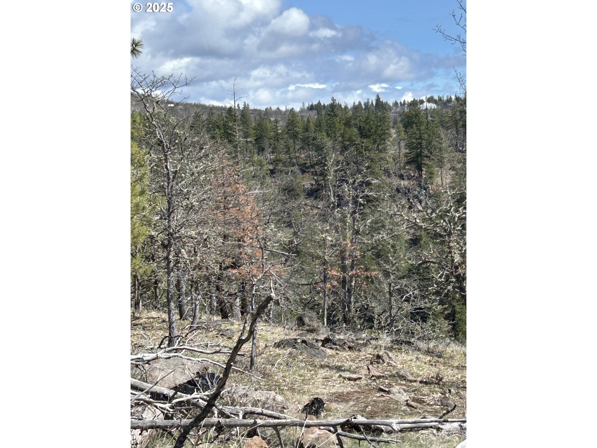 4 Thompson Trail Goldendale, WA 98620 - Photo 15 of 26 a bathroom with a shower