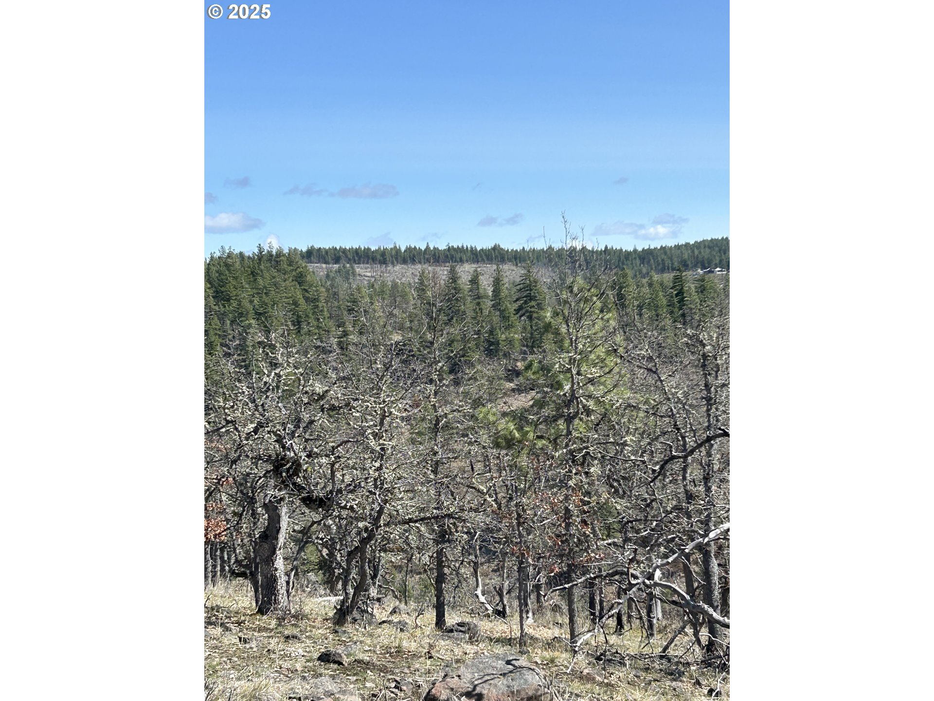4 Thompson Trail Goldendale, WA 98620 - Photo 17 of 26 a view of a dry plant in front of a building