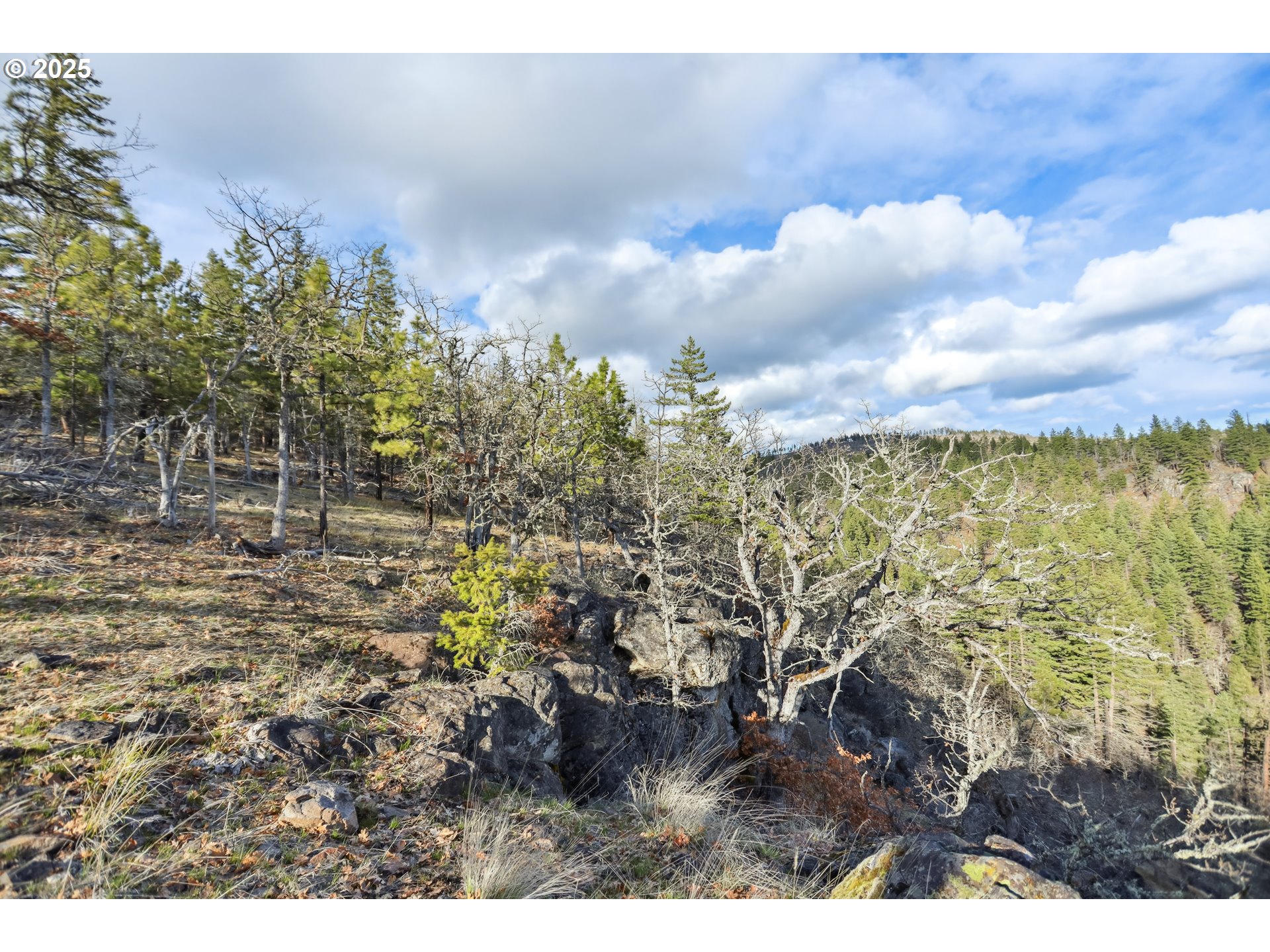 4 Thompson Trail Goldendale, WA 98620 - Photo 18 of 26