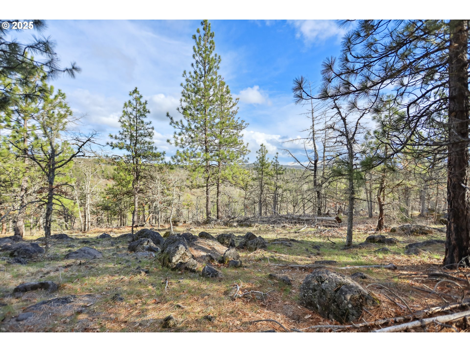 4 Thompson Trail Goldendale, WA 98620 - Photo 22 of 26 a view of outdoor space with trees