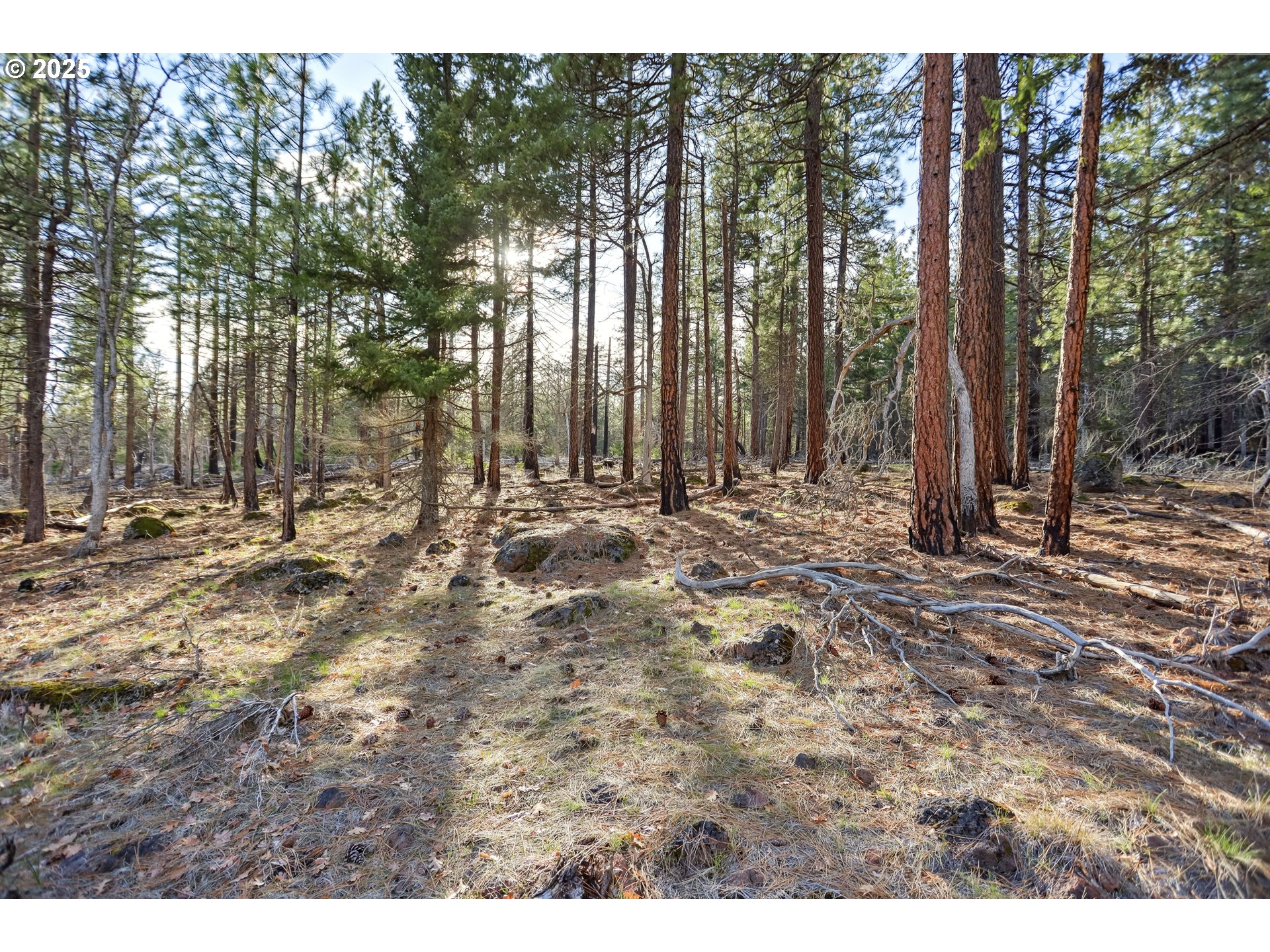 4 Thompson Trail Goldendale, WA 98620 - Photo 23 of 26 a view of outdoor space with trees