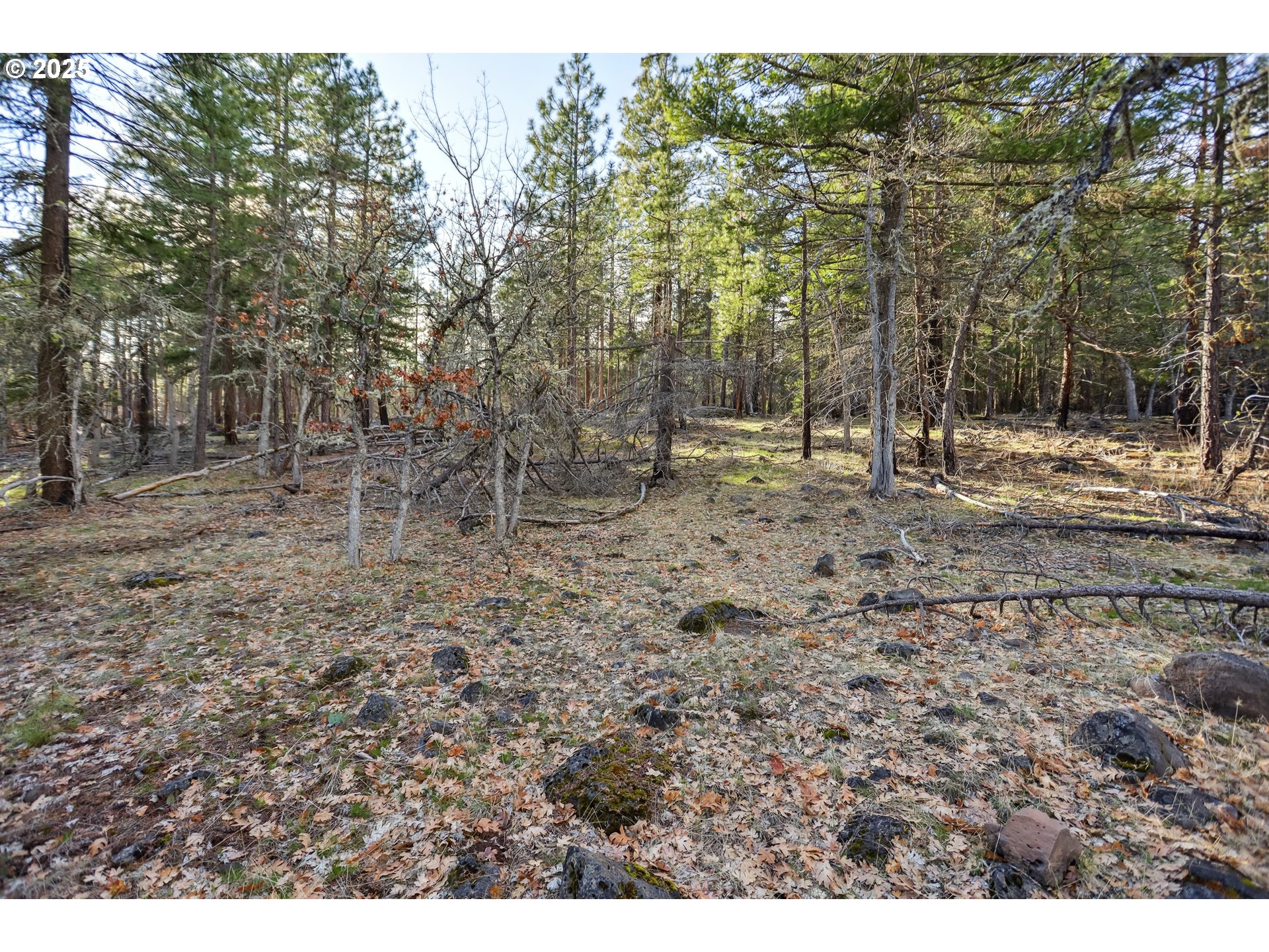 4 Thompson Trail Goldendale, WA 98620 - Photo 24 of 26 a view of a dry yard with trees