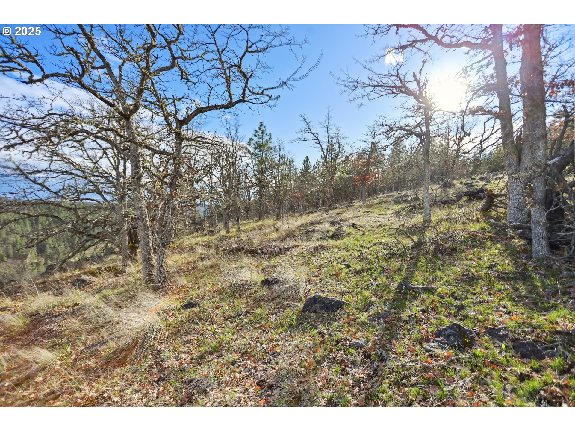 4 Thompson Trail Goldendale, WA 98620 - Photo 25 of 26 a view of a yard with trees in the background