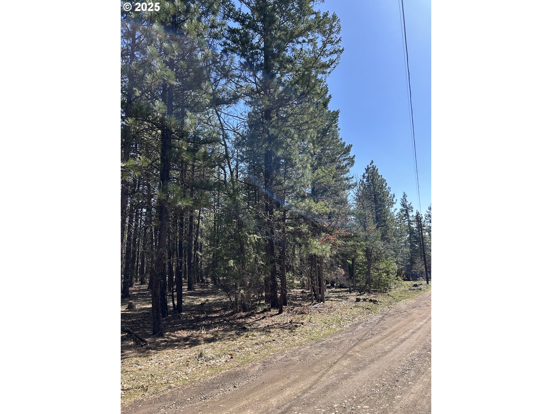 4 Thompson Trail Goldendale, WA 98620 - Photo 4 of 26 a view of a backyard of the house