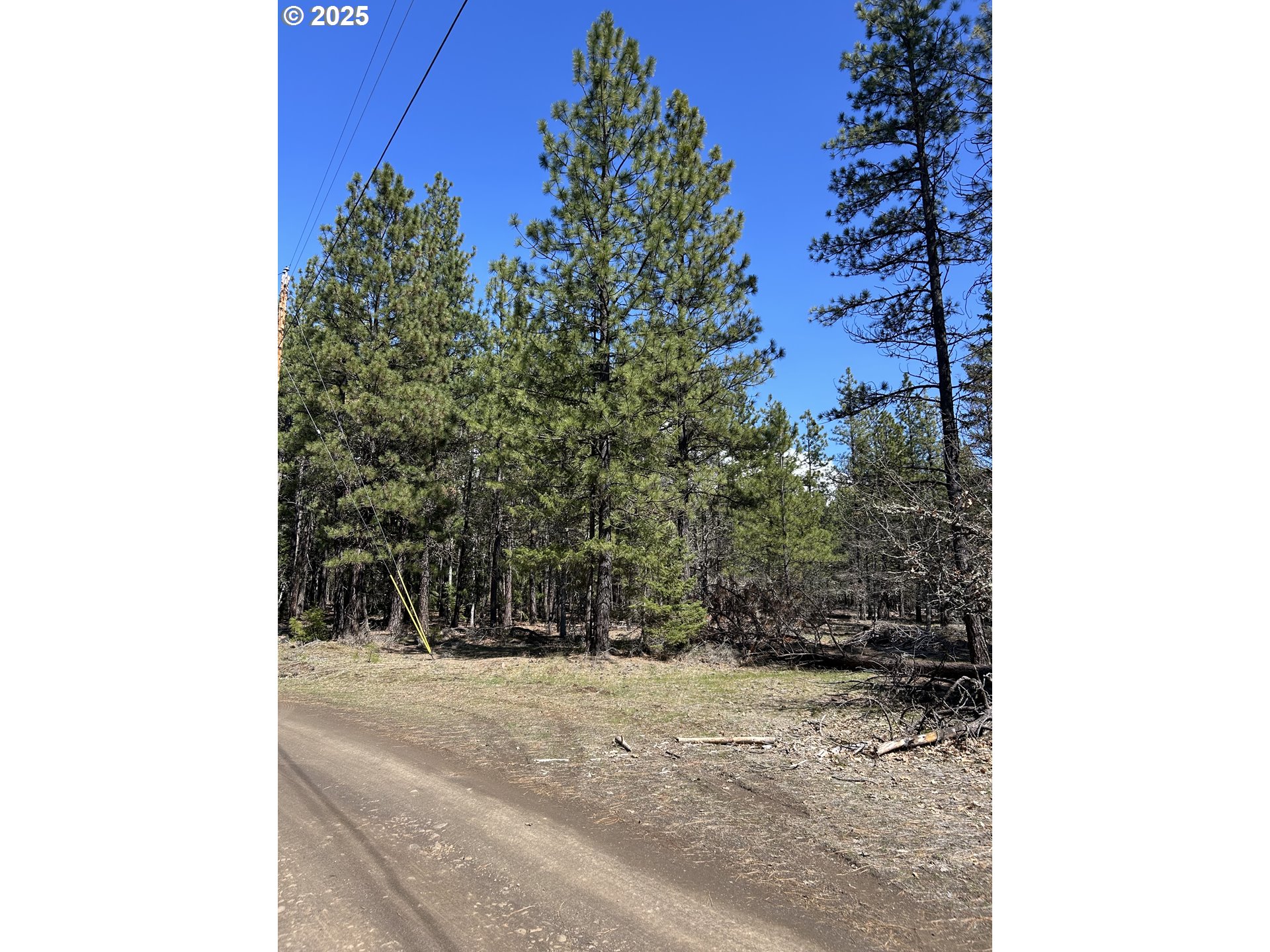4 Thompson Trail Goldendale, WA 98620 - Photo 5 of 26 a view of a yard with plants and trees