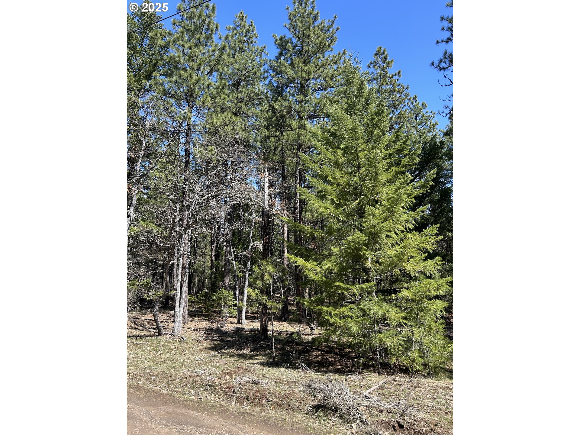 4 Thompson Trail Goldendale, WA 98620 - Photo 6 of 26