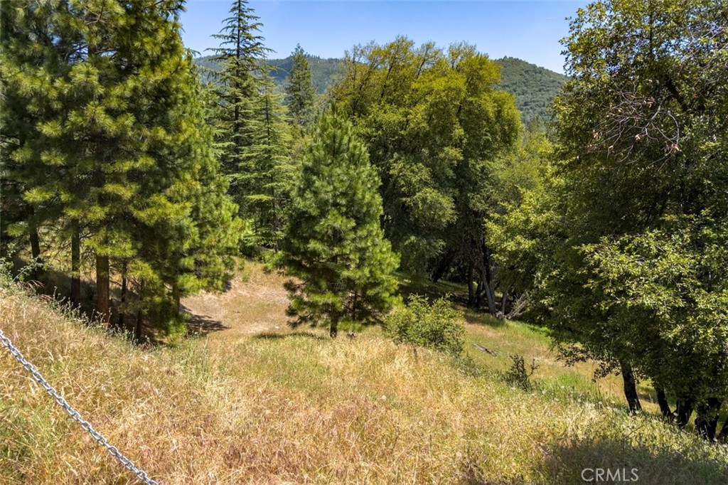 2397 Parmabelle Road Mariposa, CA 95338 - Photo 2 of 34 a view of a yard with a tree