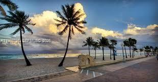 5300 Grant Street Hollywood, FL 33021 - Photo 43 of 46 a view of palm trees