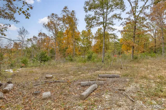 $52,800 | Lot 1 Wicket Road, Cadet, MO 63630
