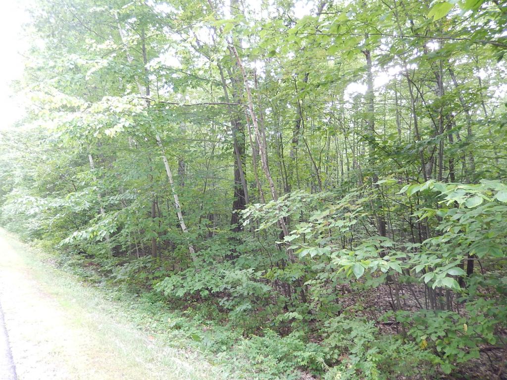 Tbd Upper Plains Road Broadalbin, NY 12025 - Photo 2 of 6 Gallery Image 2