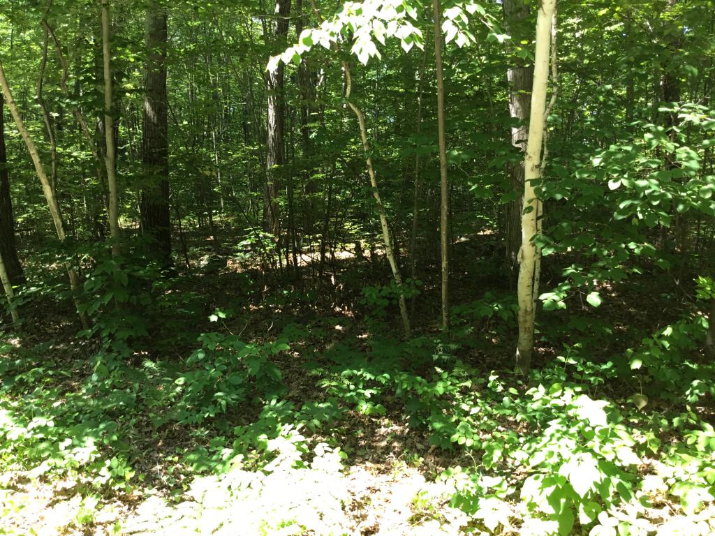 Tbd Upper Plains Road Broadalbin, NY 12025 - Photo 5 of 6 Gallery Image 5