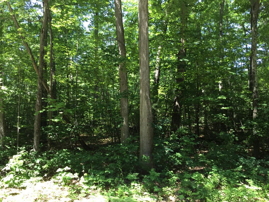 Tbd Upper Plains Road Broadalbin, NY 12025 - Photo 6 of 6 Gallery Image 6