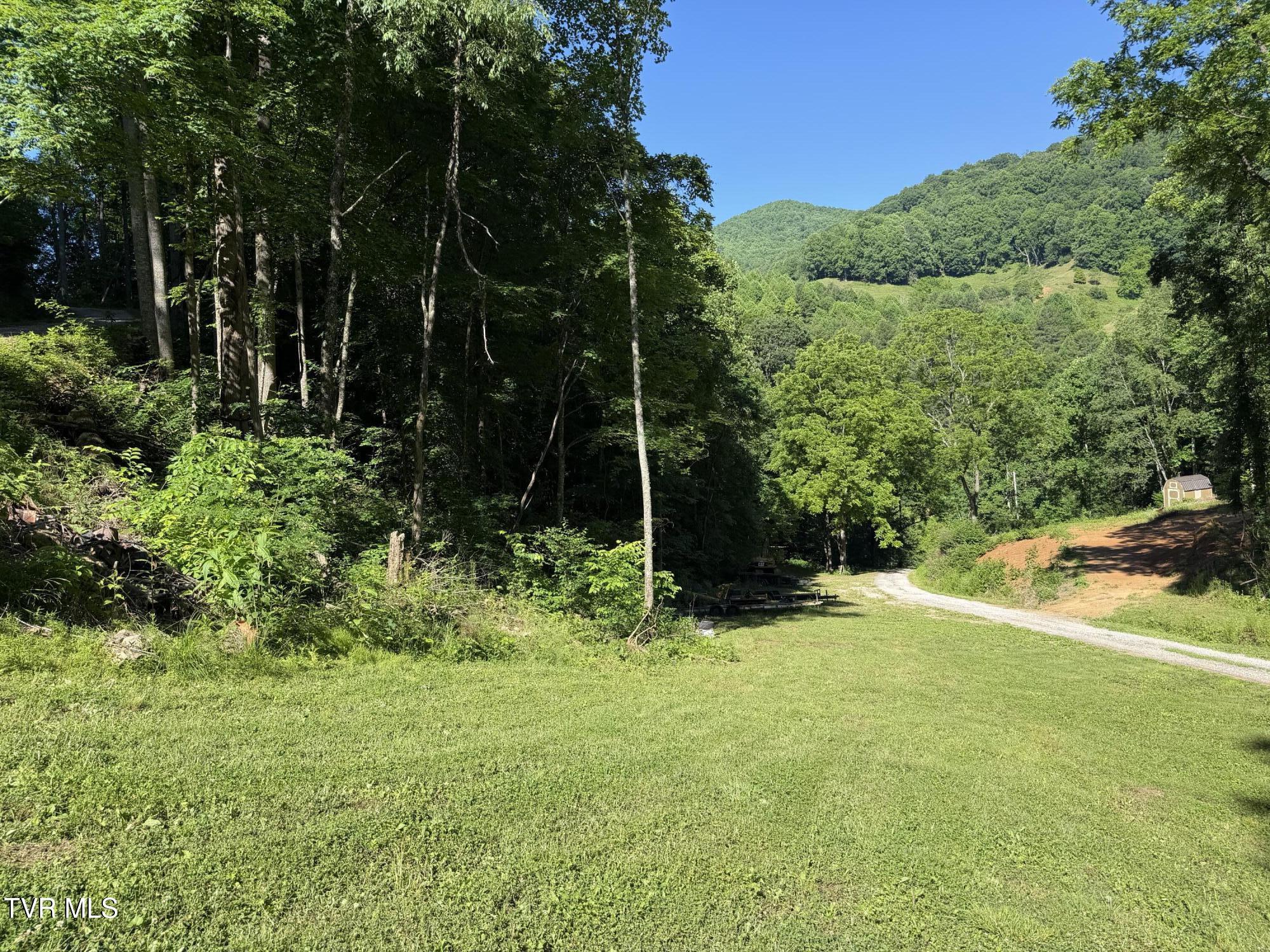1575 Rice Creek Road Flag Pond, TN 37657 - Photo 31 of 45 IMG_6323