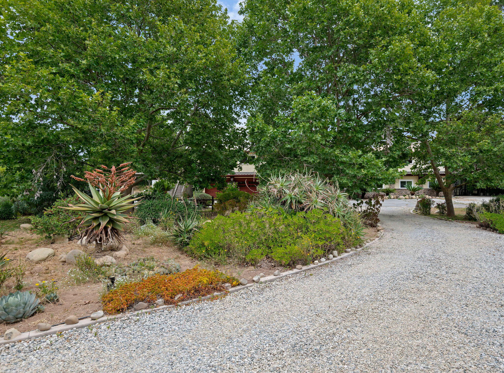 1442 South Rice Road Ojai, CA 93023 - Photo 40 of 54 54-Driveway & Gardens