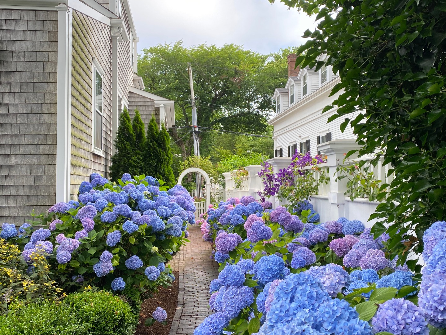 112 Main Street Nantucket, MA 02554 - Photo 5 of 59 Gallery Image 5
