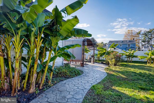 1190 Sharp Road Vineland, NJ 08360 - Photo 22 of 30 Banana trees come back every year!