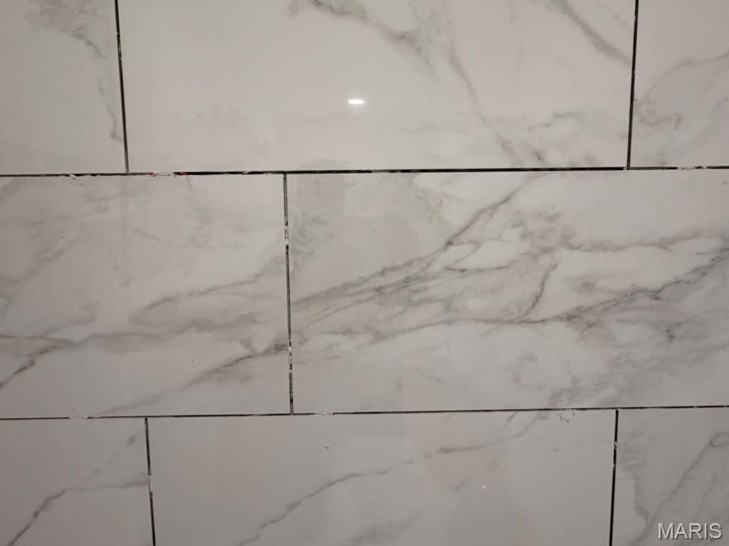 231 Ruth Harris Lane Poplar Bluff, MO 63901 - Photo 7 of 10