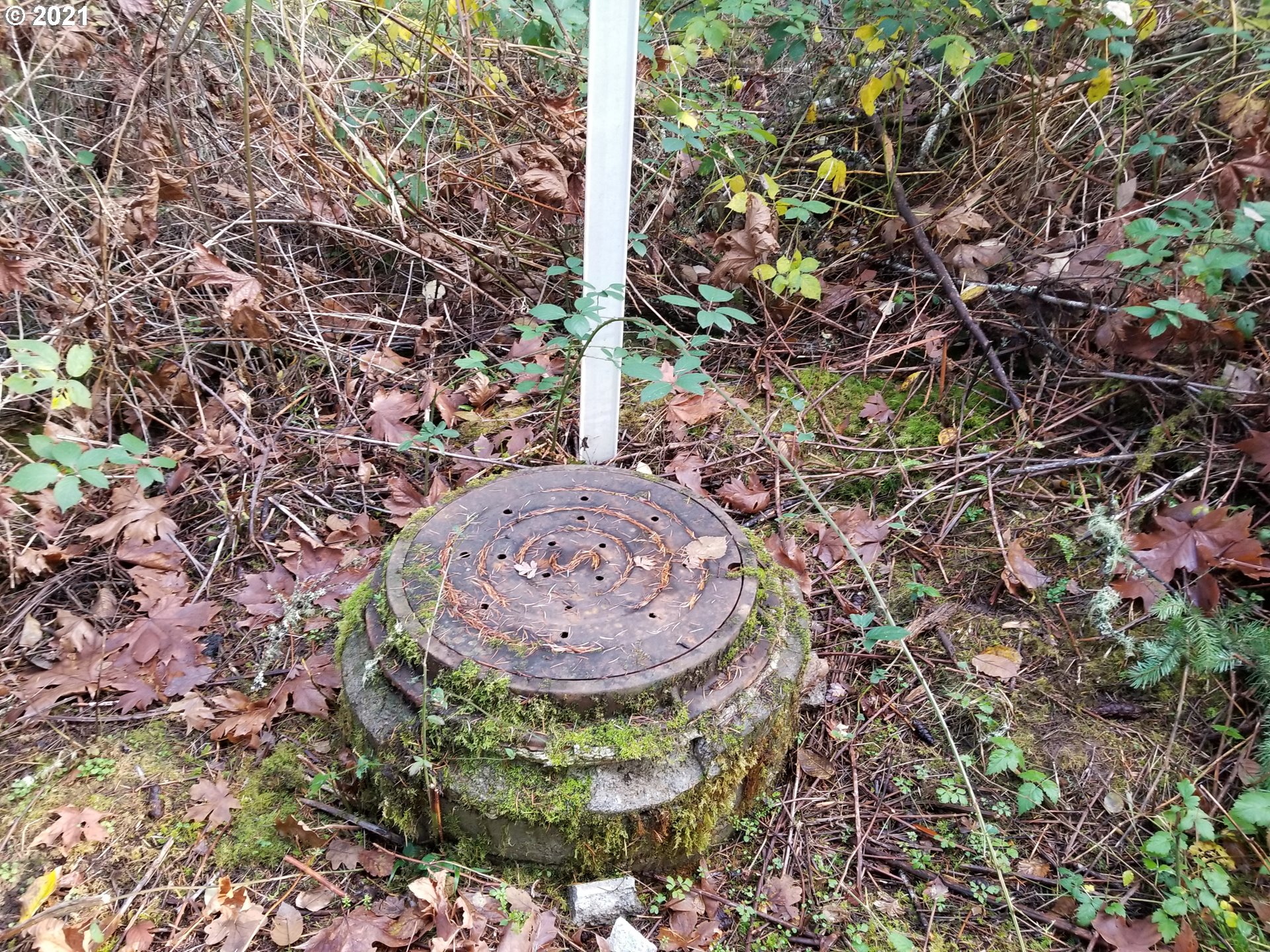 Northwest Foothill Drive Corvallis, OR 97330 - Photo 16 of 31 a view of a wooden floor with a tree