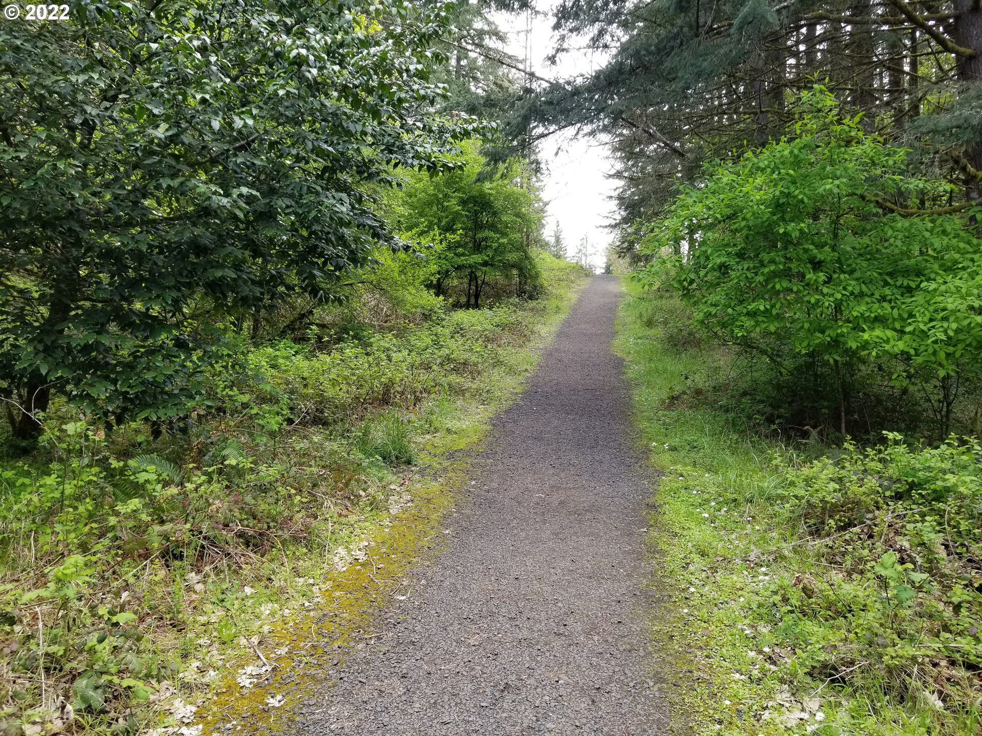 Northwest Foothill Drive Corvallis, OR 97330 - Photo 30 of 31 a view of a pathway both side of yard