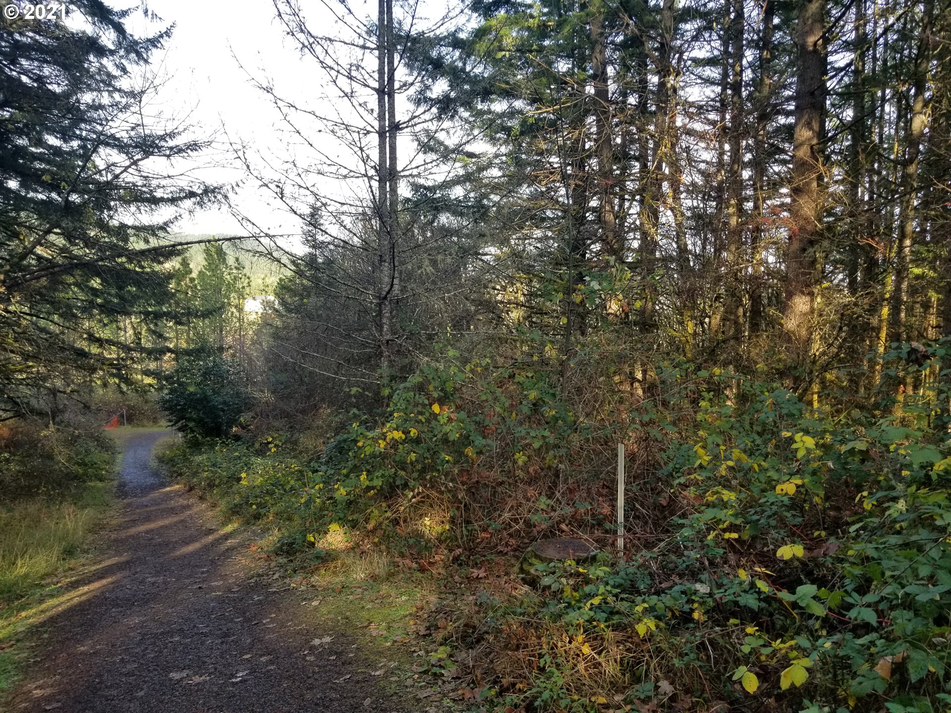 Northwest Foothill Drive Corvallis, OR 97330 - Photo 8 of 31