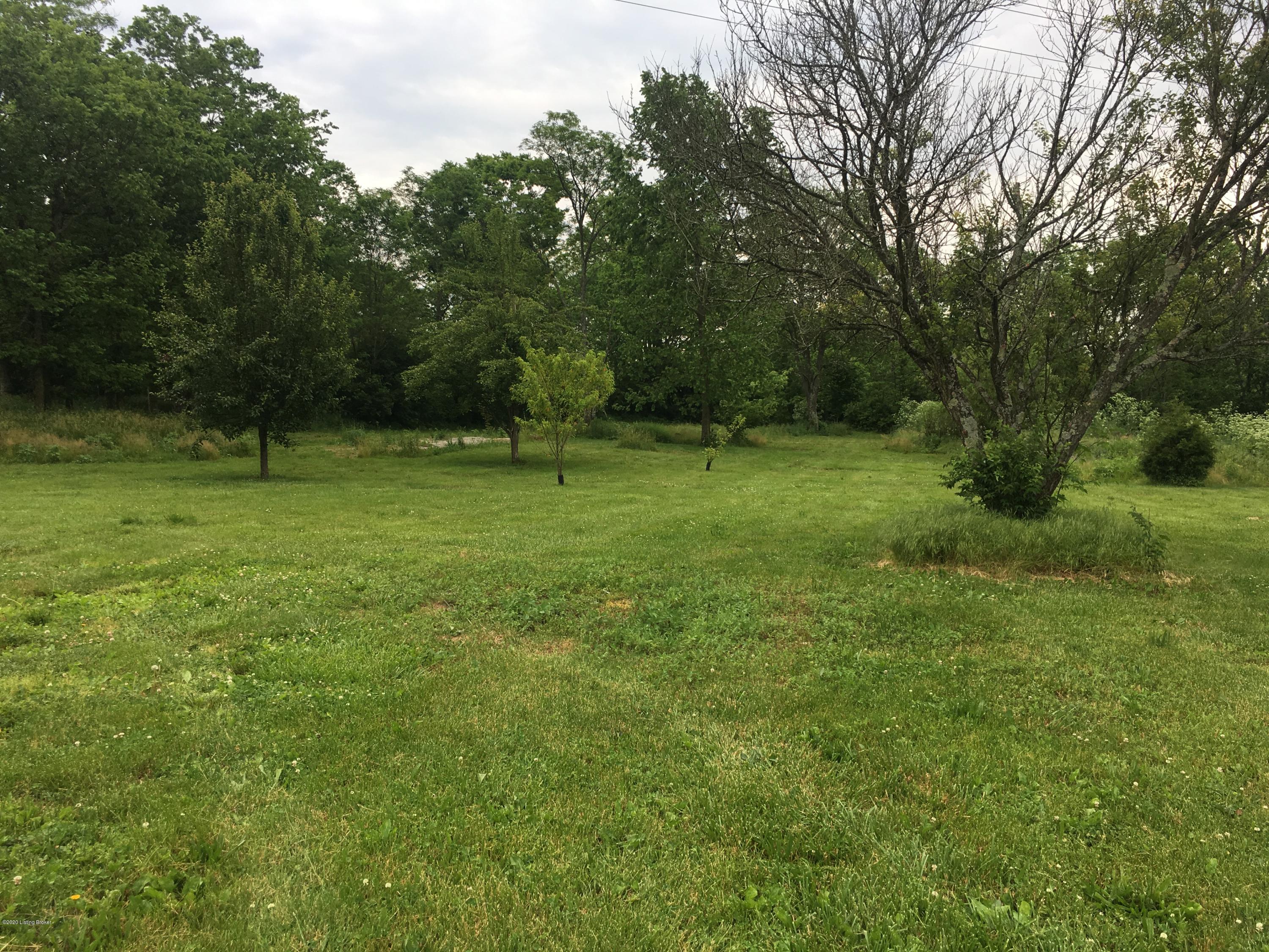 1143 Drennon Road New Castle, KY 40050 - Photo 5 of 15 fruit trees and looking towards back of property