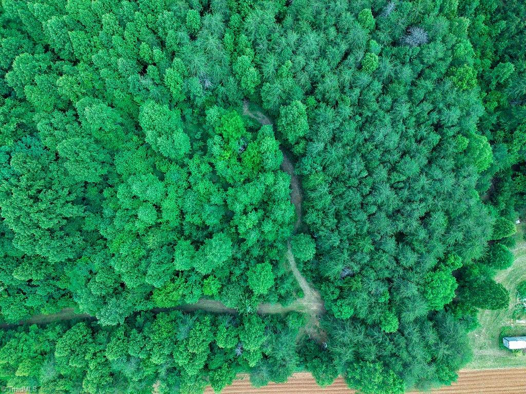 2025 Lace Knoll Road East Bend, NC 27018 - Photo 25 of 42