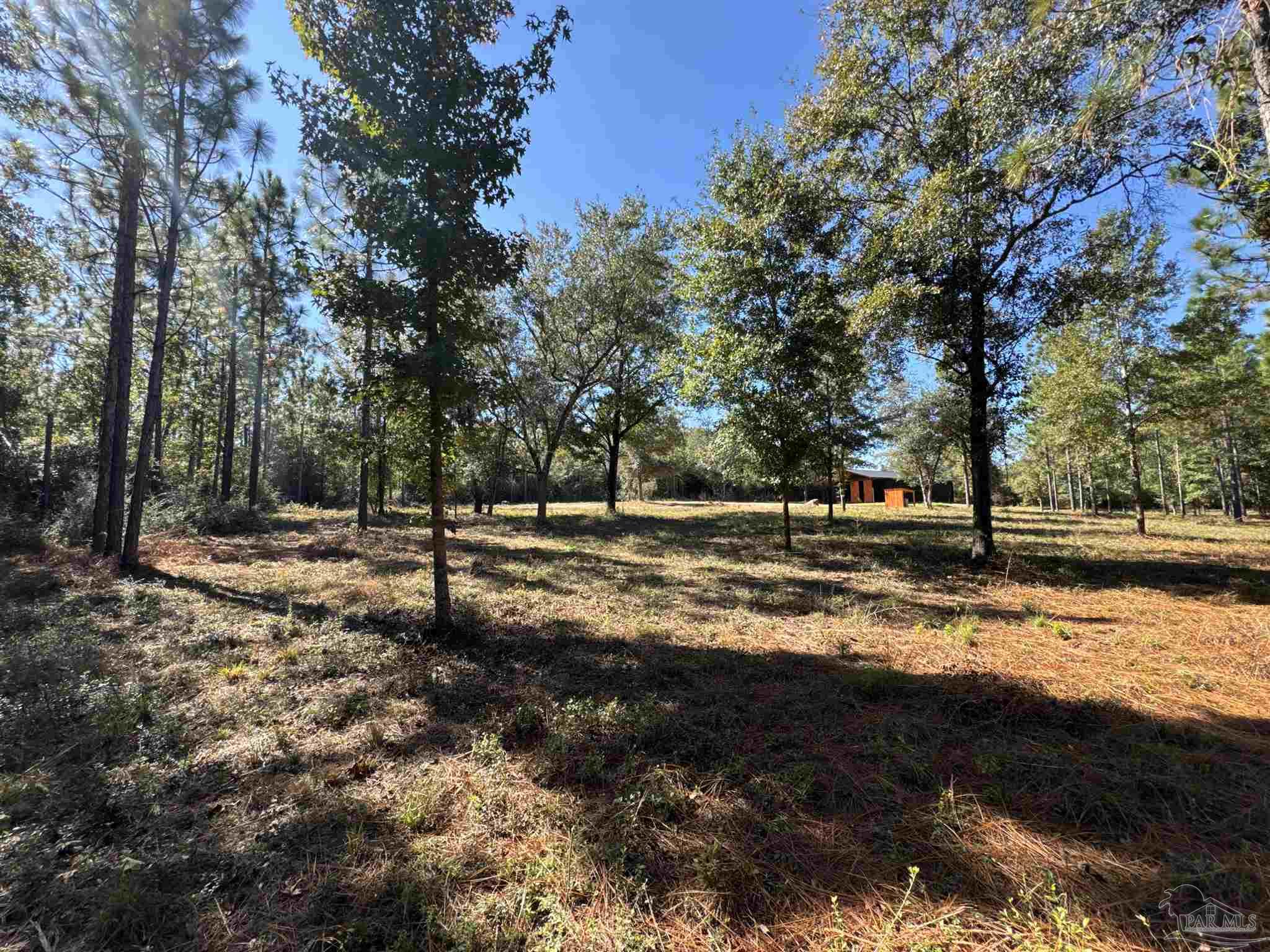 3404 YELLOW HAMMER Road Pace, FL 32571 - Photo 11 of 20 a view of a forest with trees