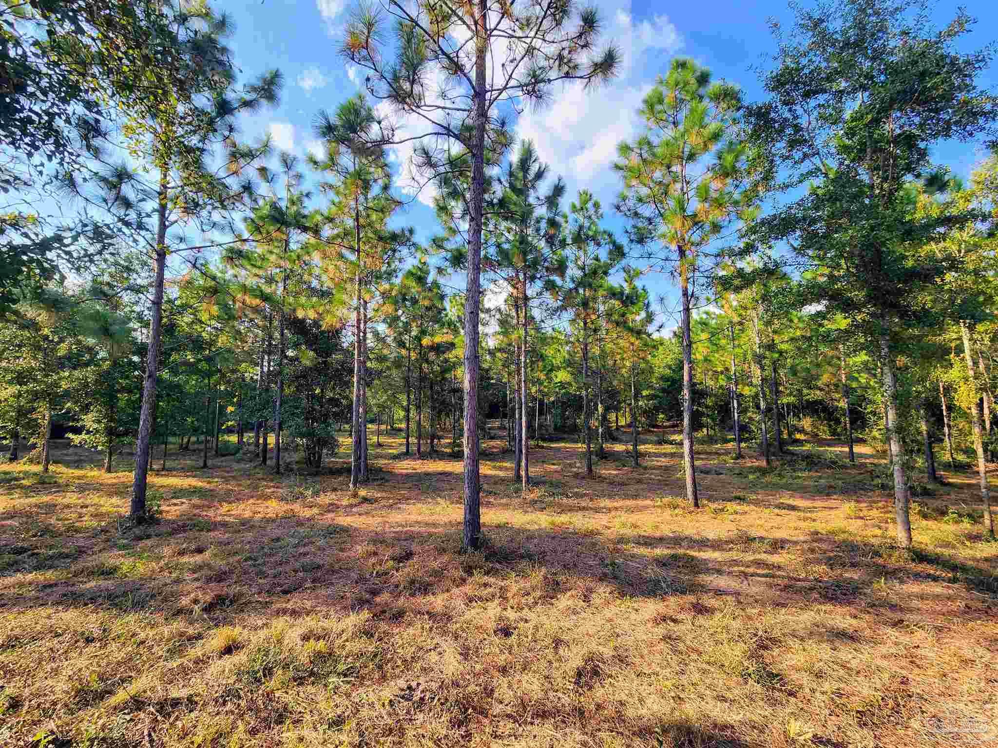 3404 YELLOW HAMMER Road Pace, FL 32571 - Photo 13 of 20 a view of a park with swings