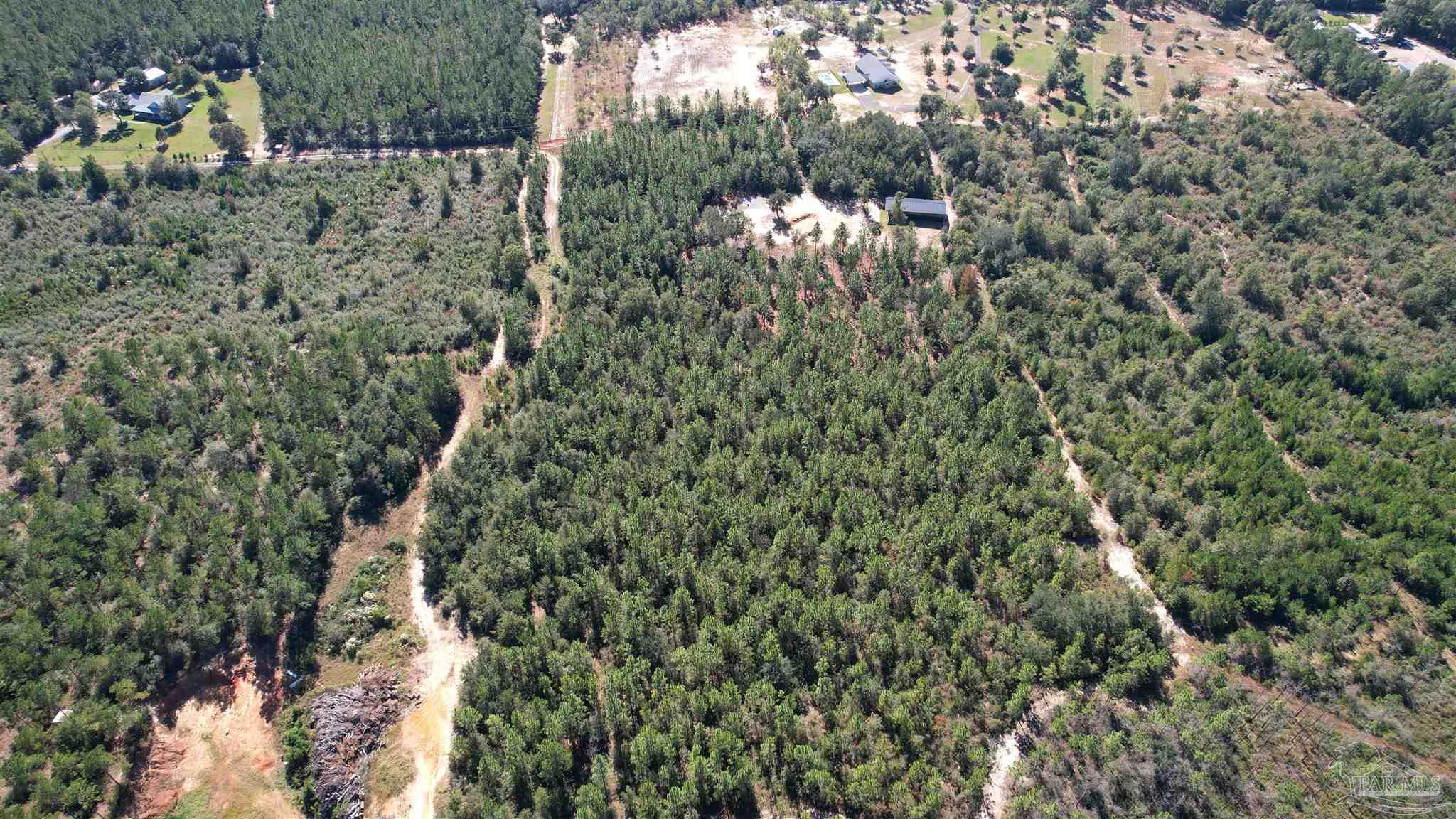 3404 YELLOW HAMMER Road Pace, FL 32571 - Photo 17 of 20 a view of a forest with a building