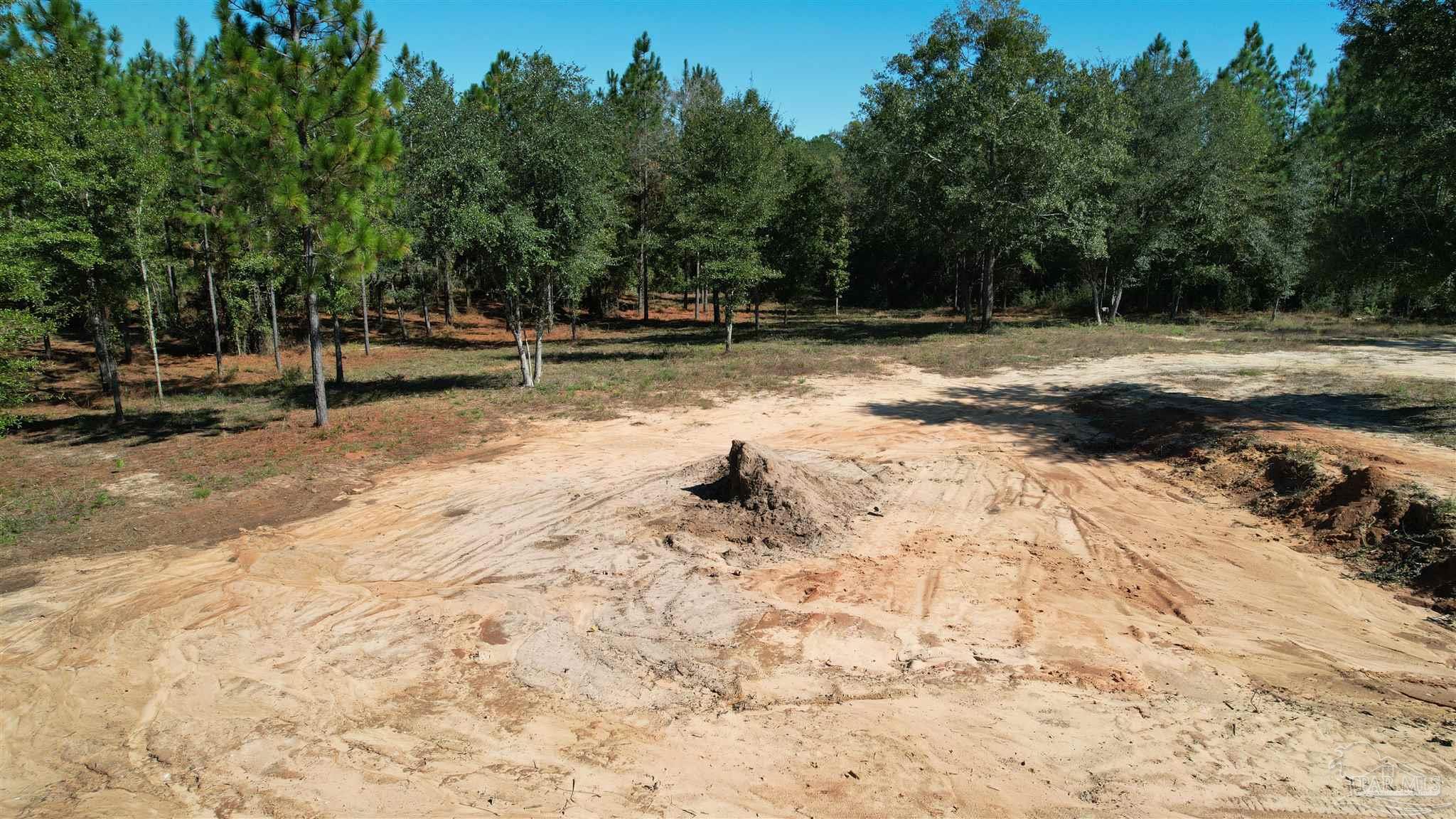 3404 YELLOW HAMMER Road Pace, FL 32571 - Photo 19 of 20 a view of outdoor space with trees