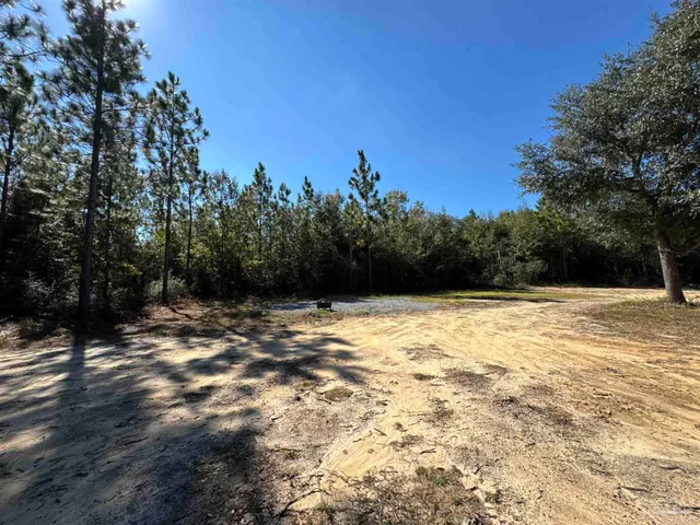 a view of a tree with a yard