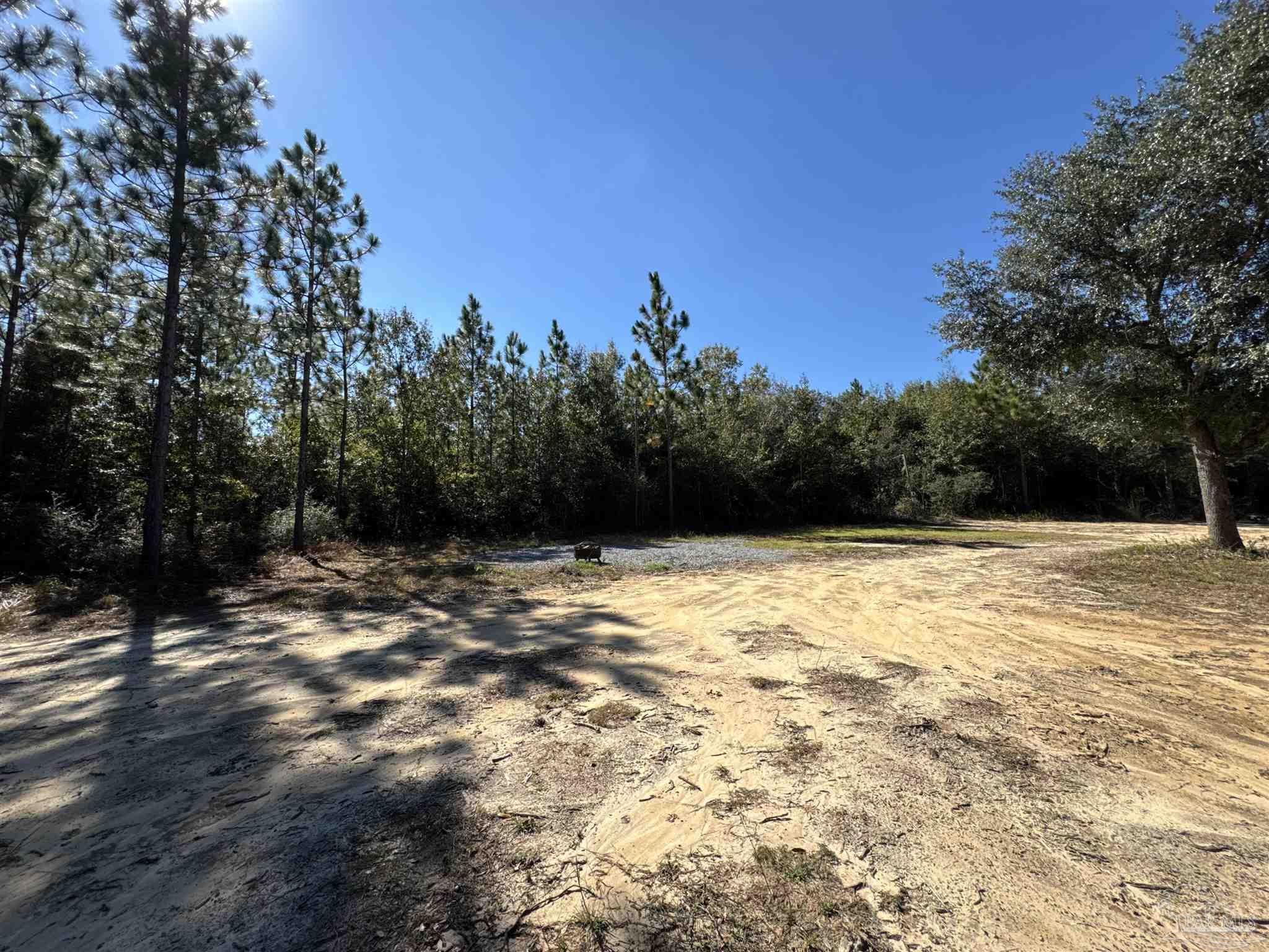 3404 YELLOW HAMMER Road Pace, FL 32571 - Photo 5 of 20