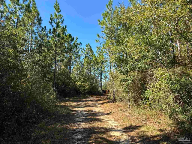 a view of outdoor space with trees