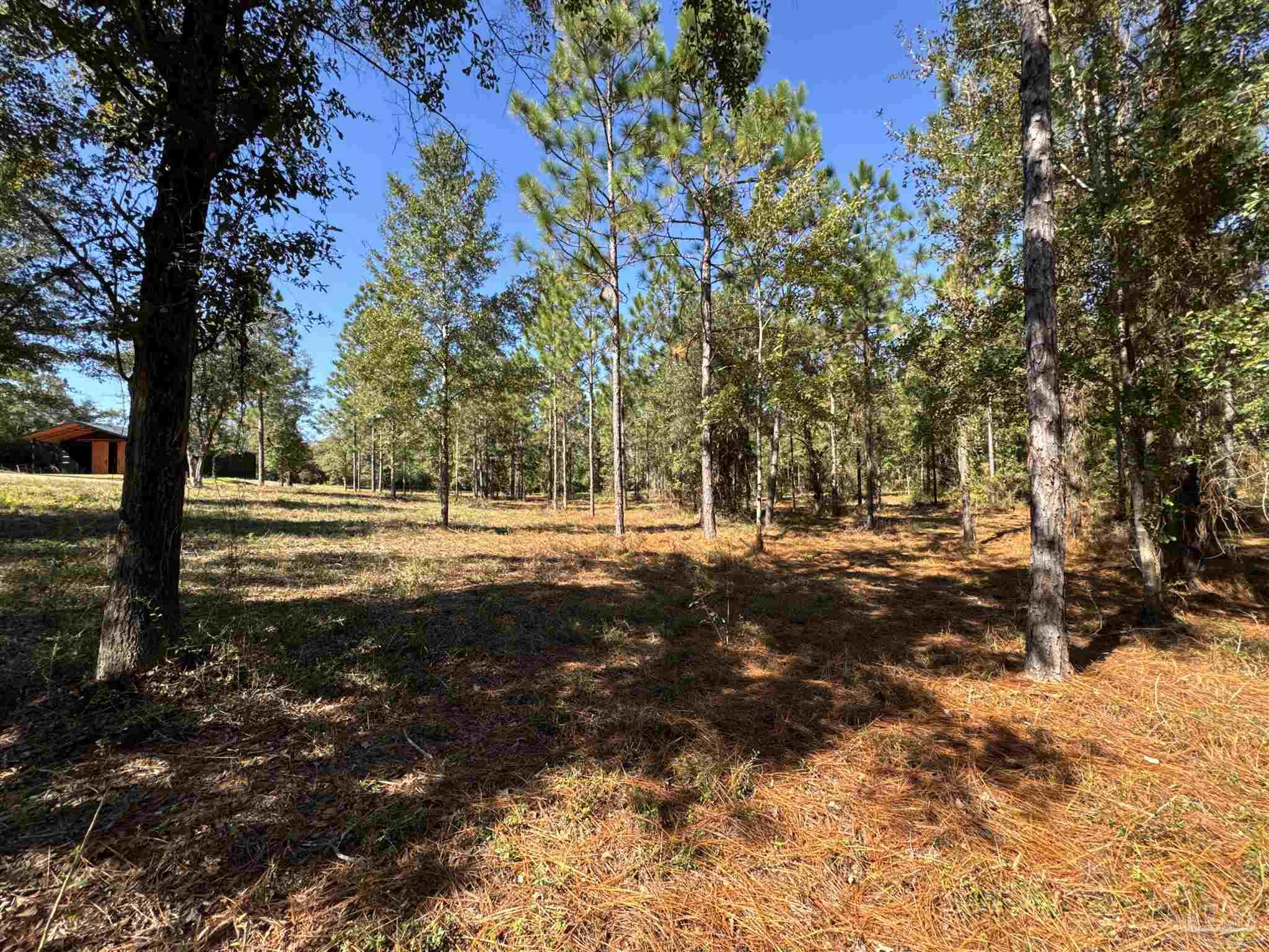 3404 YELLOW HAMMER Road Pace, FL 32571 - Photo 7 of 20 a view of outdoor space with trees