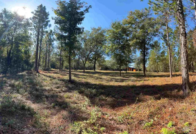 a view of a flower in a garden