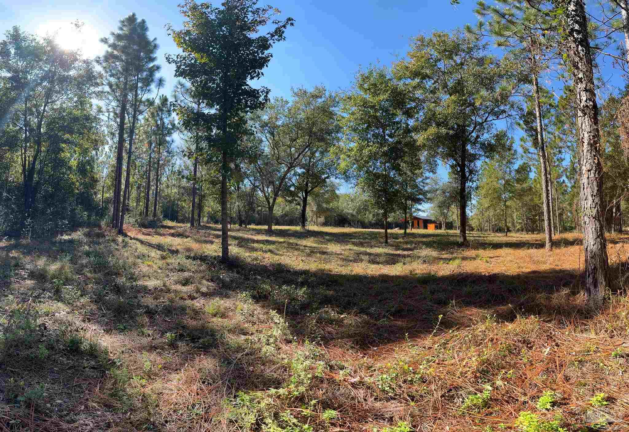 3404 YELLOW HAMMER Road Pace, FL 32571 - Photo 8 of 20 a view of dirt yard with green space