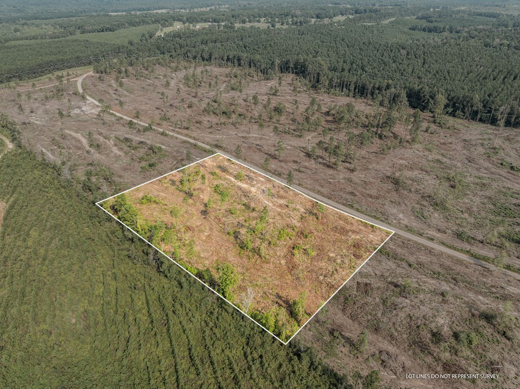 7 Lucas Hollow Road Mount Olive, MS 39119 - Photo 2 of 7 Photo 2