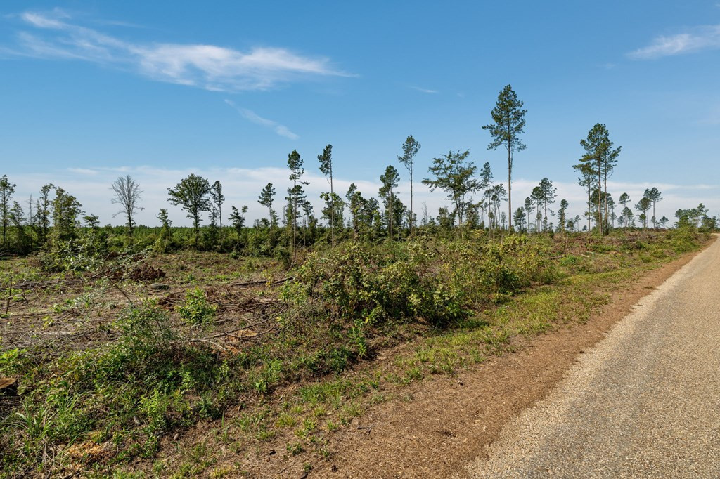 7 Lucas Hollow Road Mount Olive, MS 39119 - Photo 4 of 7 Photo 4